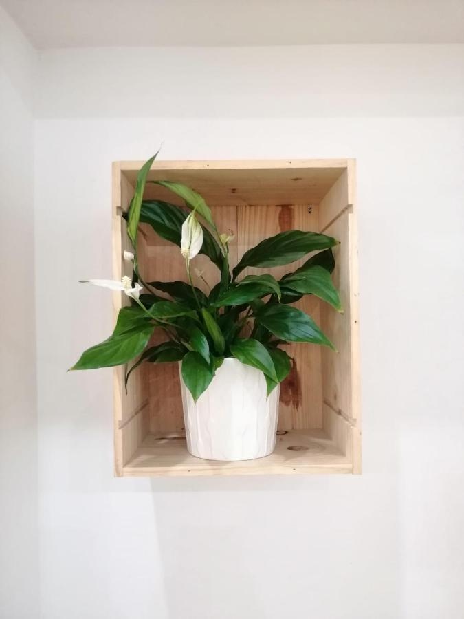 Apartamento Luna De Noviembre Málaga Eksteriør bilde