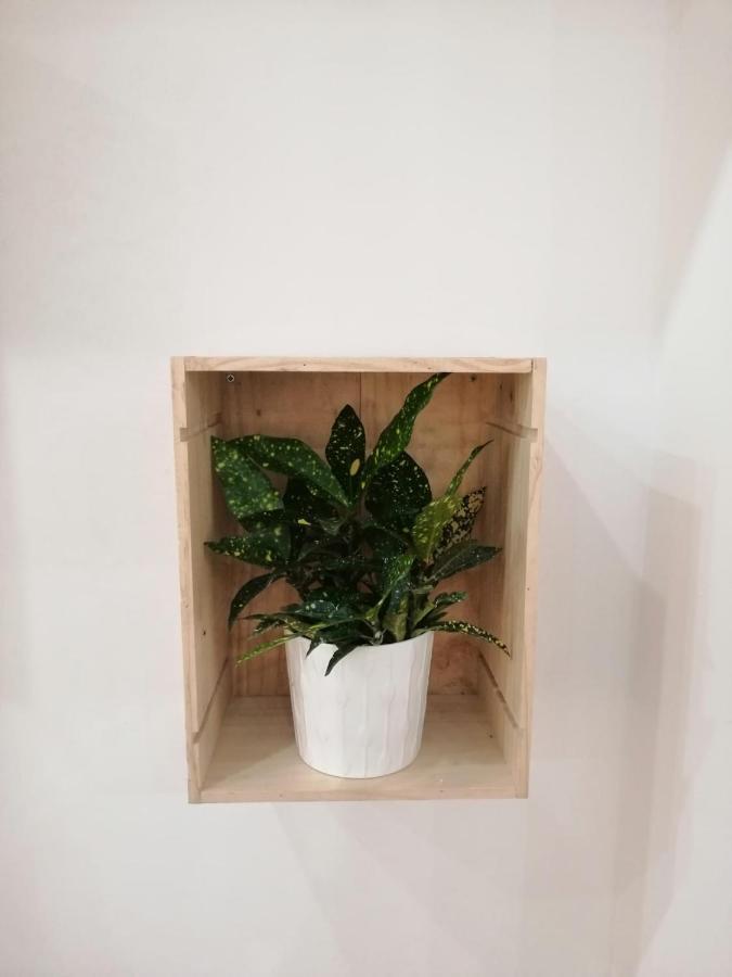 Apartamento Luna De Noviembre Málaga Eksteriør bilde